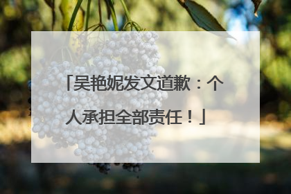 吴艳妮发文道歉：个人承担全部责任！